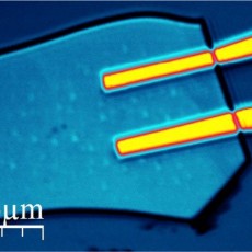 Confocal image of a Molibdenum Disulfide Nanodevice